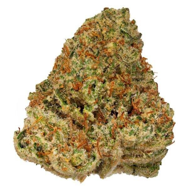 Stardawg