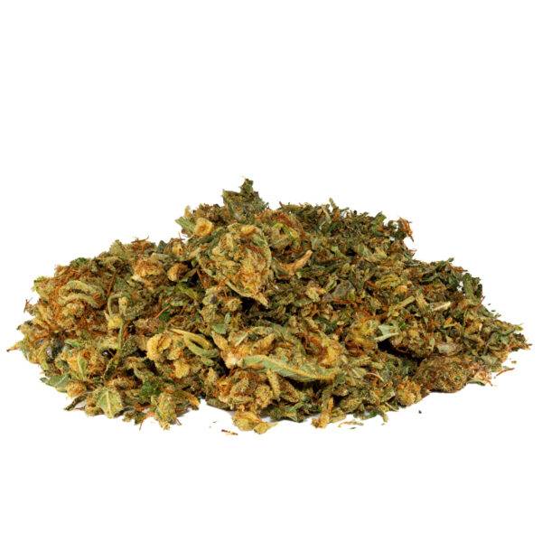 STARDAWG SHAKE