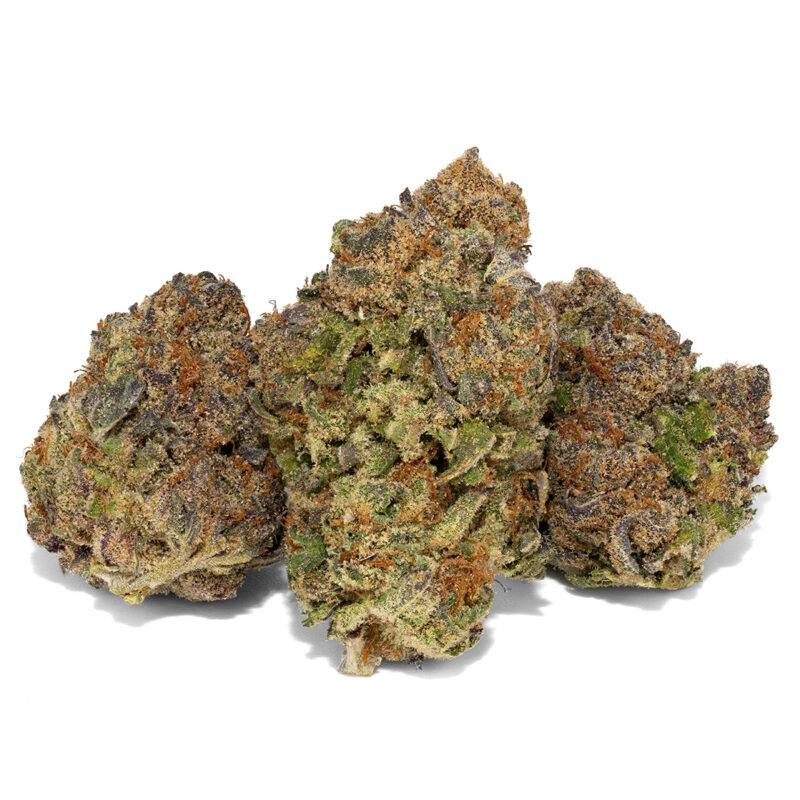 MIMOSA - Image 4