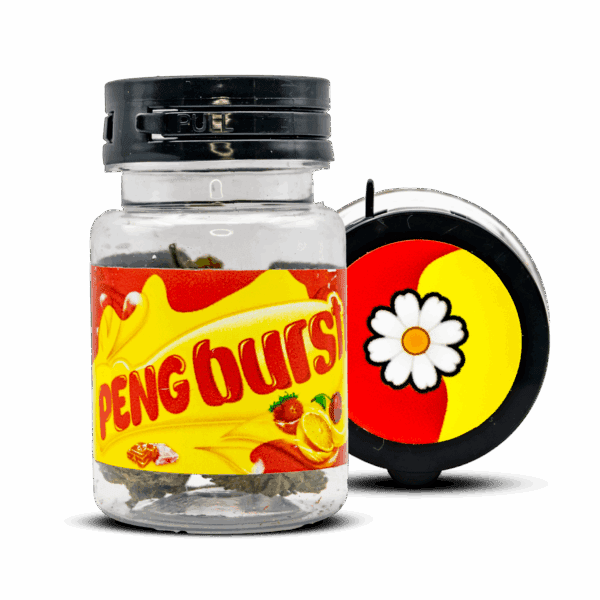 PENGBURST