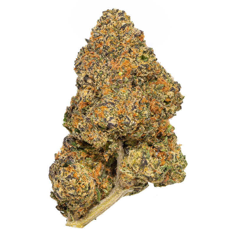 GRAPE GAS - Image 3