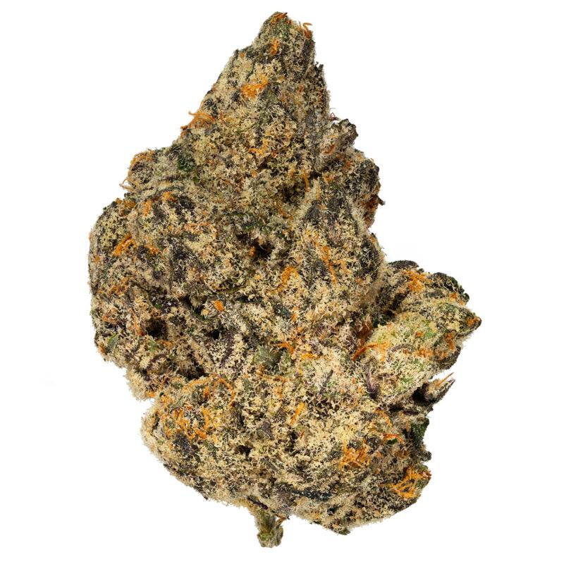 GUZZLERS - Image 3