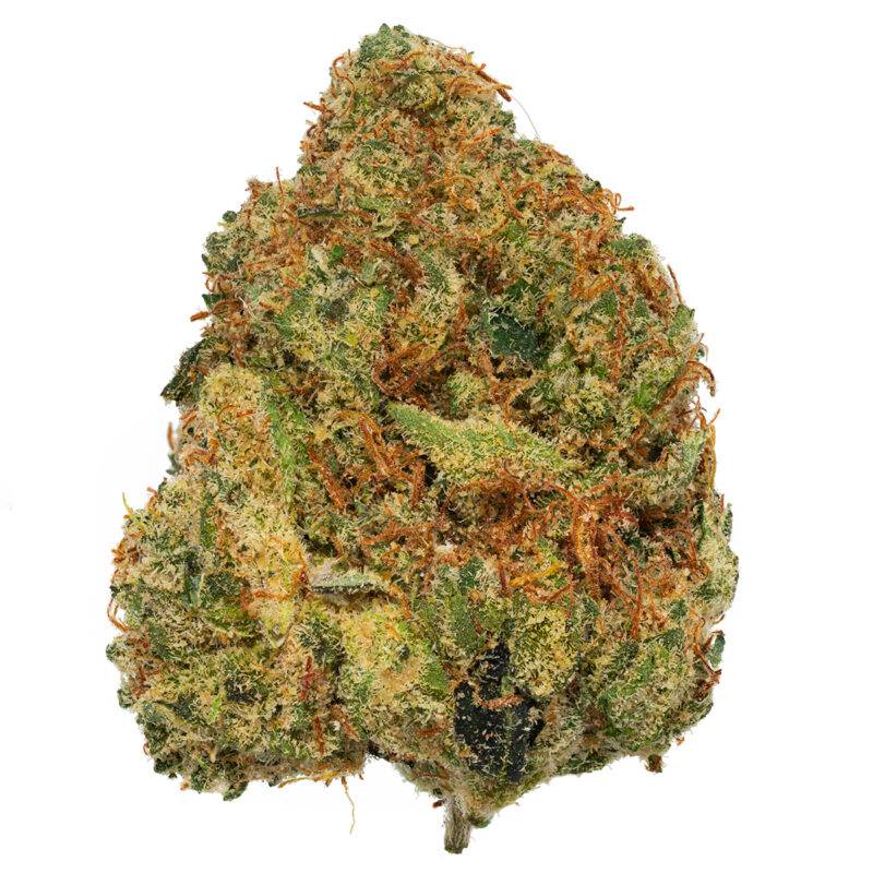 SOUR DENSUKE - Image 4