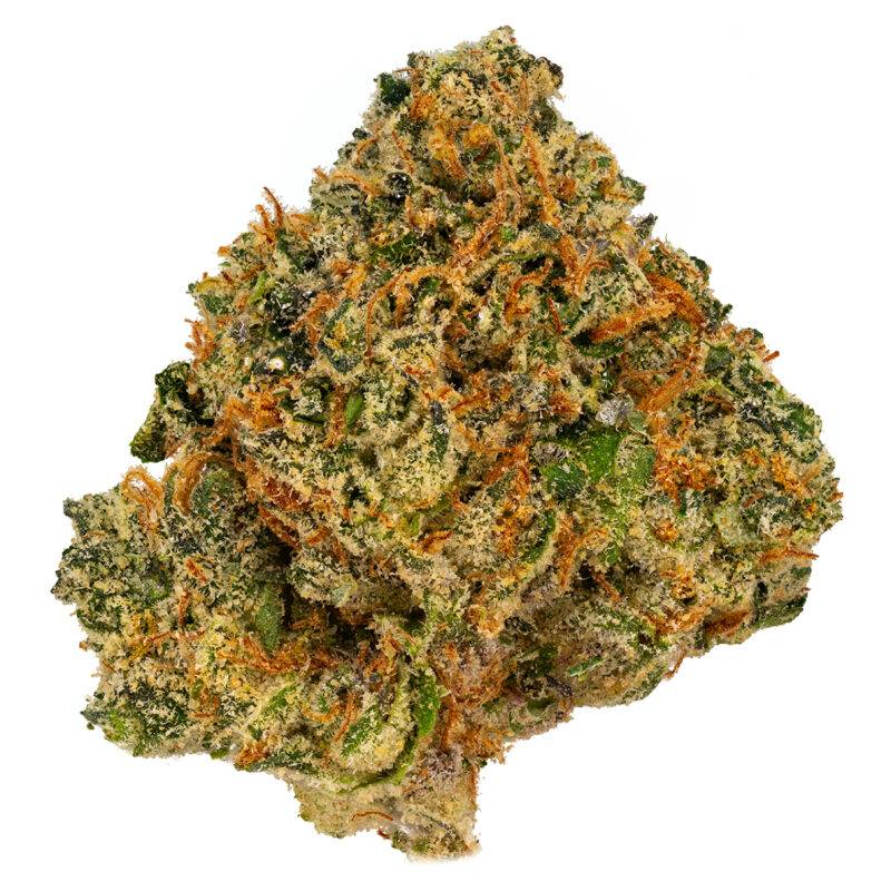 RED TREACLE - Image 7