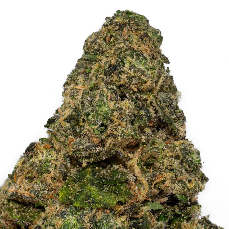 CHERRY SHERBET - Image 5