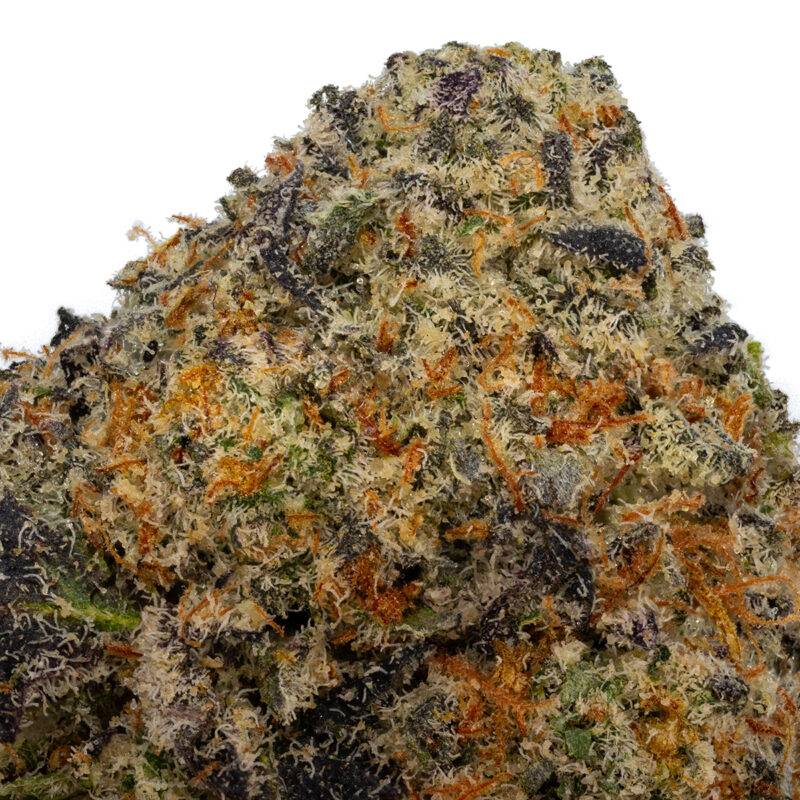 SWEET SHERBET - Image 2