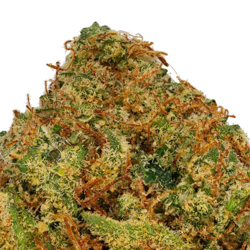 SOUR DENSUKE - Image 6