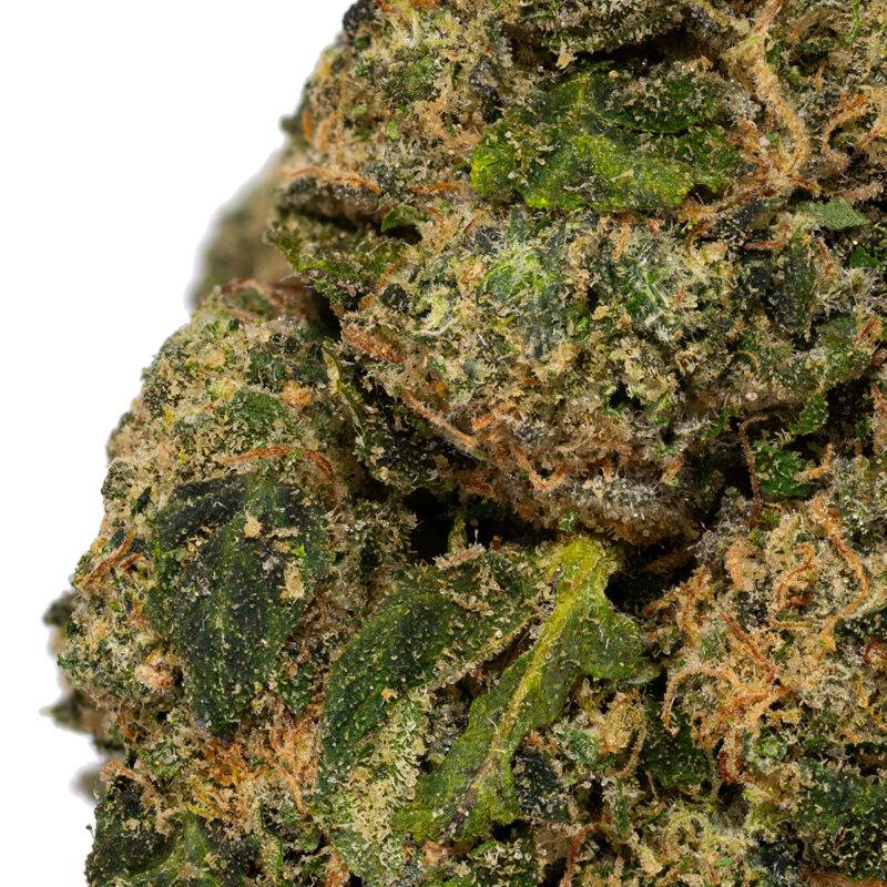 CHERRY SHERBET - Image 4