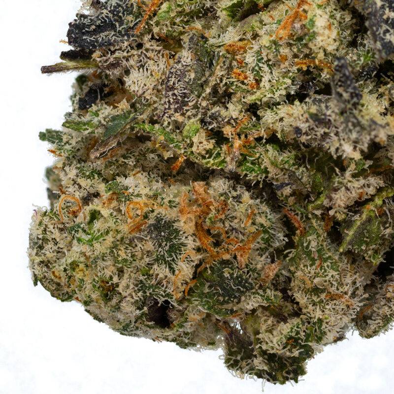 SWEET SHERBET - Image 3
