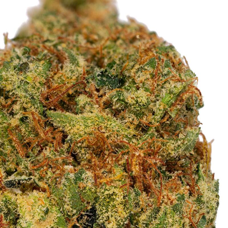 SOUR DENSUKE - Image 5