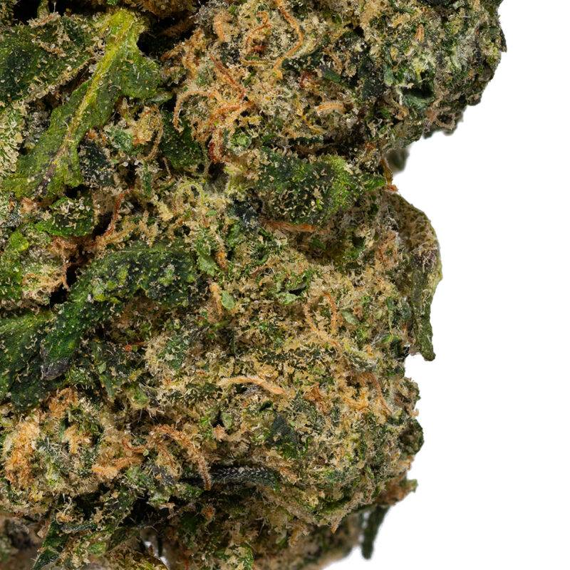 CHERRY SHERBET - Image 3