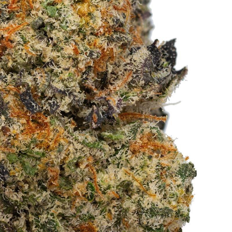 SWEET SHERBET - Image 4