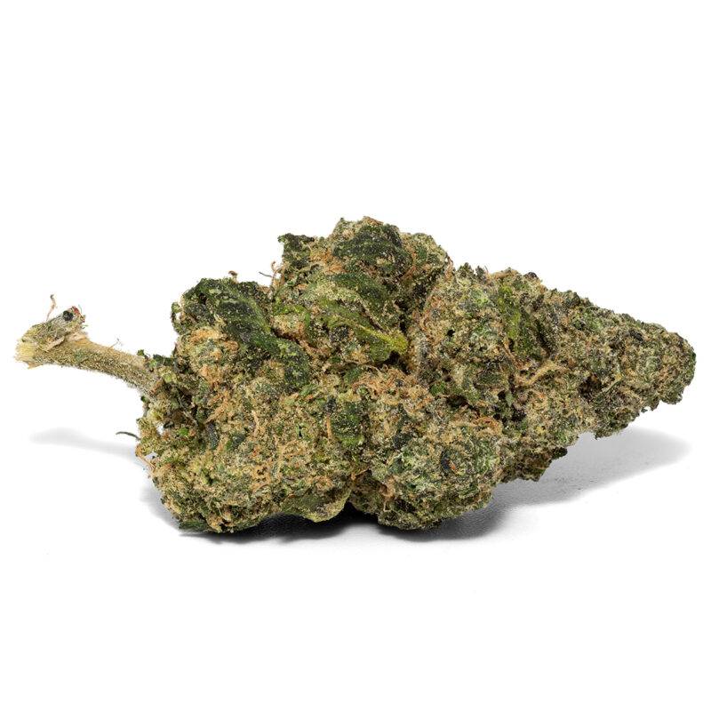 CHERRY SHERBET - Image 2