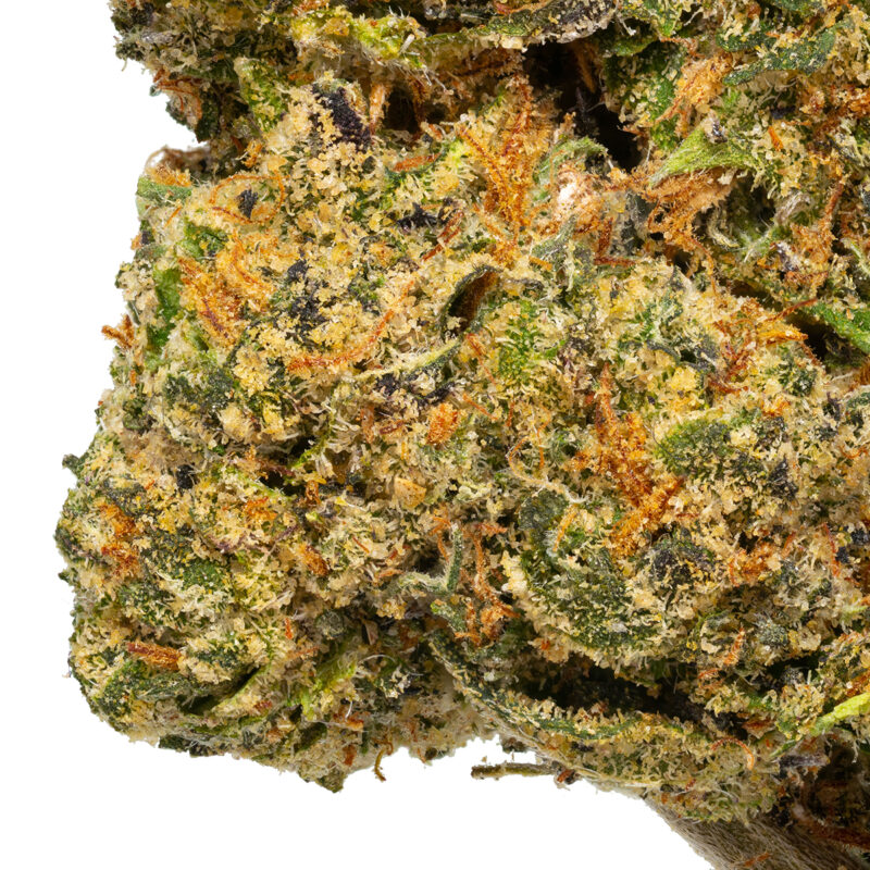 GRAPE GAS - Image 5