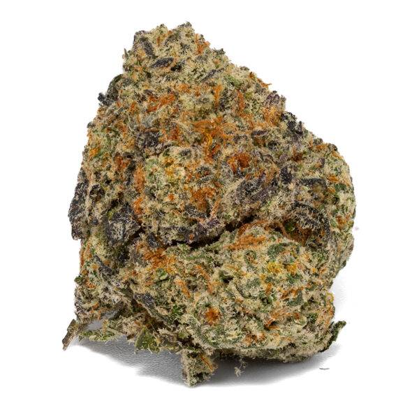 SWEET SHERBET