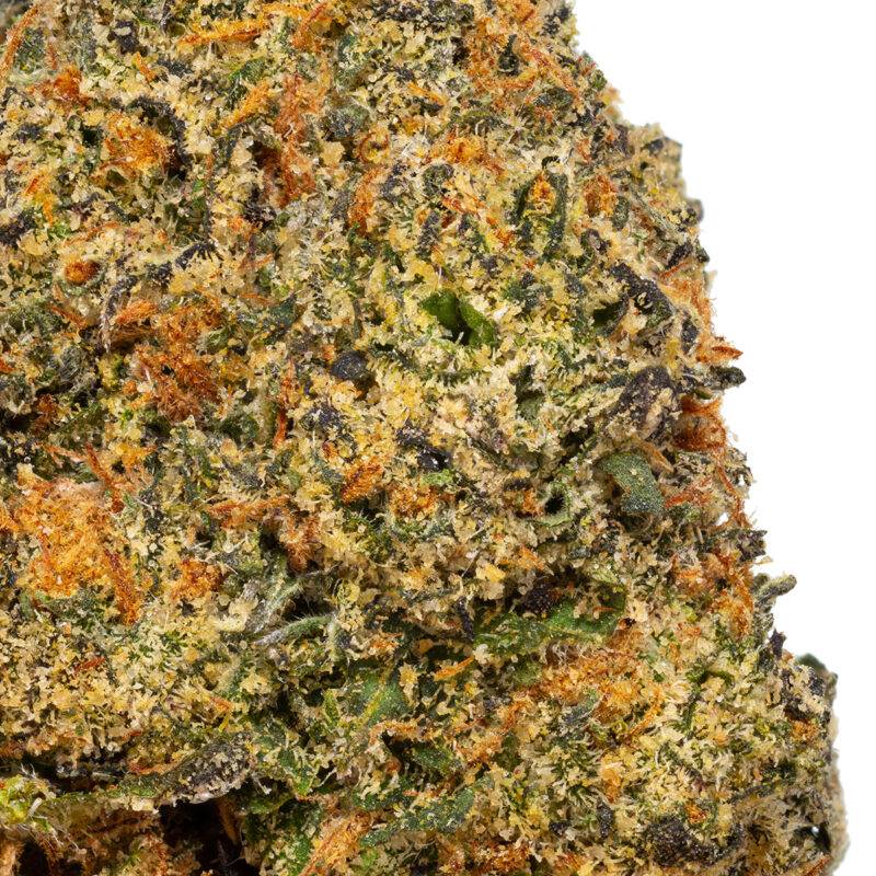 GRAPE GAS - Image 4